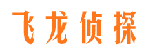 团城山市侦探公司